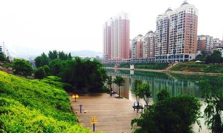 �����춼 �ж�����